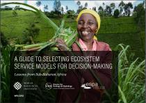 A Guide to Selecting Ecosystem Service Models for Decision-Making: Lessons from Sub-Saharan Africa