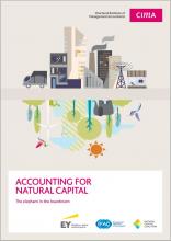 Accounting for Natural Capital: The elephant in the boardroom