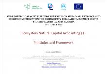 Ecosystem Natural Capital Accounting - Principles and Framework