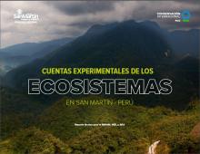 Las Cuentas Experimentales de los Ecosistemas en San Martín - Perú