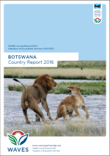 WAVES Botswana Country Report 2015