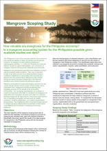Mangrove Scoping Study