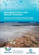 Managing Coasts with Natural Solutions