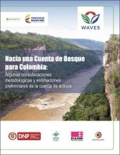 Hacia una Cuenta de Bosque para Colombia