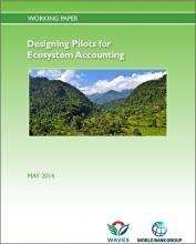 Designing Pilots for Ecosystem Accounts (Working Paper)