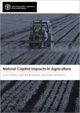 Natural Capital Impacts in Agriculture: Supporting better Business Decision-Making