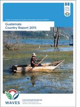 WAVES Guatemala Country Report 2015