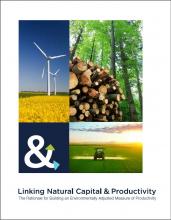 Linking Natural Capital and Productivity: The Rationale for Building an Environmentally Adjusted measure of Productivity