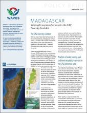 Policy Brief: Madagascar - Valuing Ecosystem Services in the CAZ Forestry Corridor