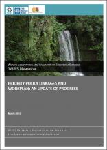 Priority Policy Linkages and Workplan: An update of progress