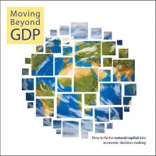 Moving Beyond GDP: How to Factor Natural Capital into Economic Decision Making