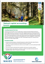 Natural Capital Accounting: Forests