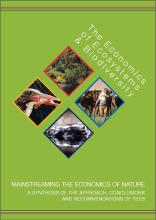 Mainstreaming the Economics of Nature: A synthesis of the approach, conclusions and recommendations of TEEB