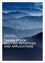 Taking Stock: Initiatives and Applications