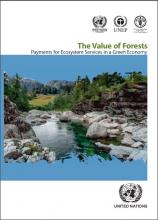 Value of Forests: Payments for Ecosystem Services in a Green Economy