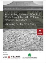 Accounting for Natural Capital Costs Associated with Chinese Financial Institutions - Banking Sector Case Study