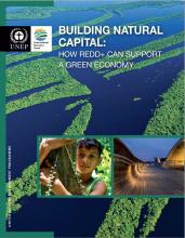Building Natural Capital - How REDD+ Can Support a Green Economy