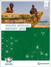 WAVES Annual Report 2015