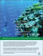 The Global Partnership on Wealth Accounting and the Valuation of Ecosystem Services
