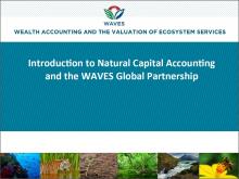 Introduction to Natural Capital Accounting and the WAVES Global Partnership