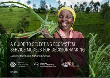 A Guide to Selecting Ecosystem Services Models for Decision-Making: Lessons from Sub-Saharan Africa