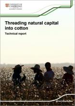 Threading natural capital into cotton: Doing business with nature