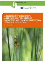 Critical Assessment of Biodiversity Accounting Approaches for Businesses