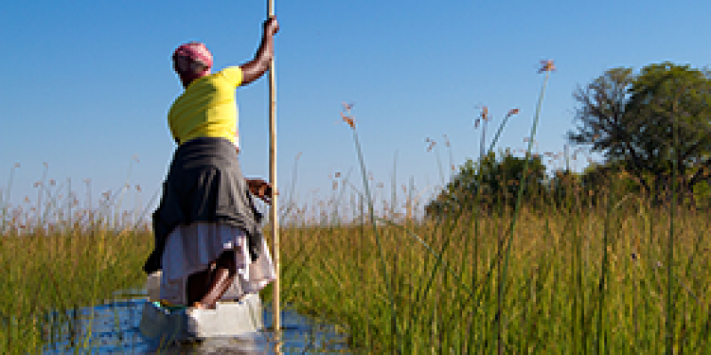 A lady rows a traditional boat in the Okavango delta in Botswana. - Photo: Shutterstock