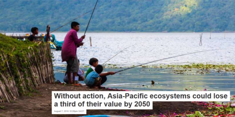 Asia-Pacific ecosystems could lose a third of their value by 2050