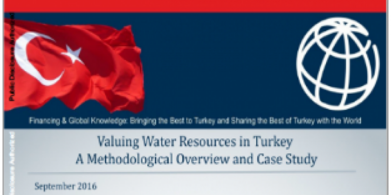 Valuing Water Sources in Turkey: A Methodological Overview and Case Study
