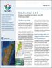Policy Brief: Madagascar - Valuing Ecosystem Services in the CAZ Forestry Corridor