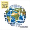 Moving Beyond GDP: How to Factor Natural Capital into Economic Decision Making