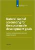 Natural capital accounting for the sustainable development goals: Current and potential uses and steps forward