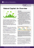 Natural Capital: An Overview