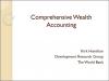 Comprehensive Wealth Accounting