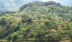 Rwanda launches first Natural Capital Accounts to inform economic planning