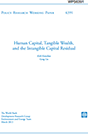 Cover of  Human Capital, Tangible Wealth, and the Intangible Capital Residual