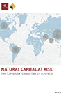 Cover of  Natural Capital at Risk